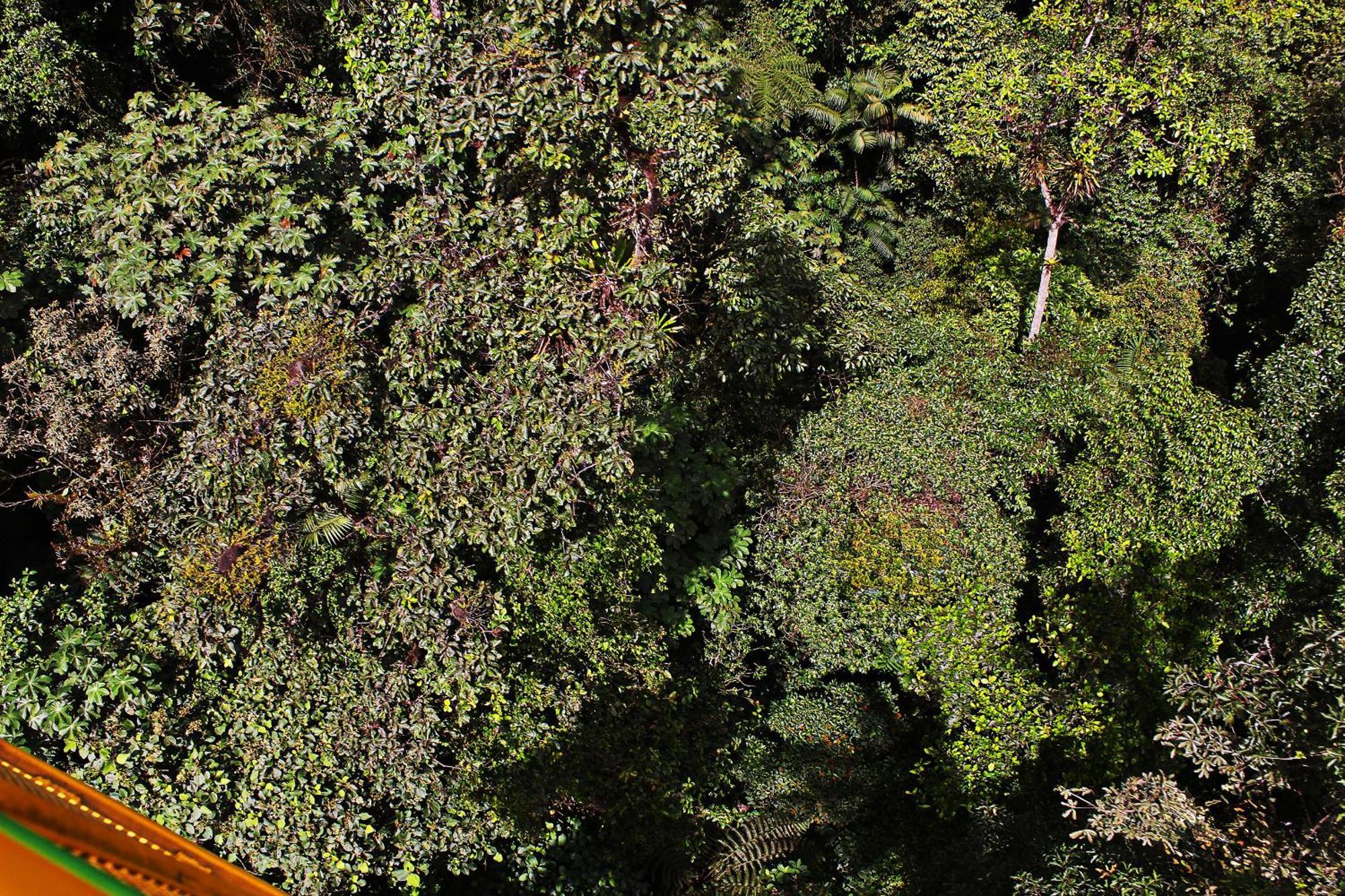 Mindo Green House Kültér fotó